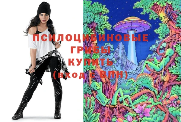 тгк Аркадак